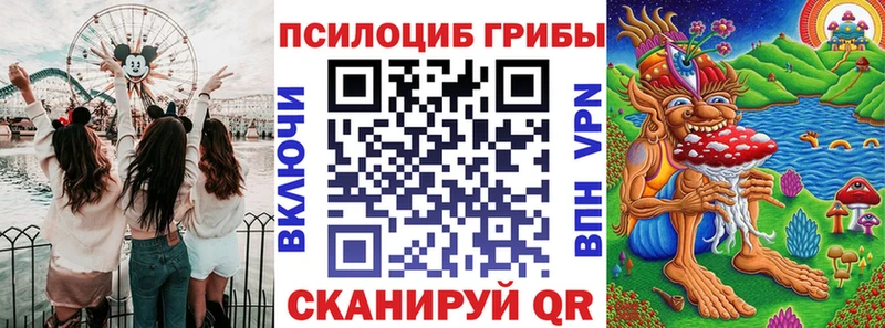 Купить  Тихвин  Галлюциногенные грибы MAGIC MUSHROOMS 