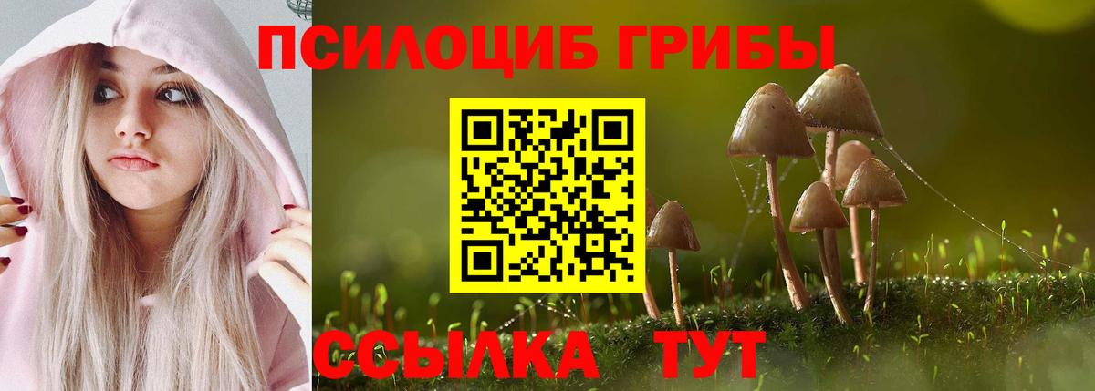 Тихвин  Псилоцибиновые грибы Psilocybe  Вход с VPN 