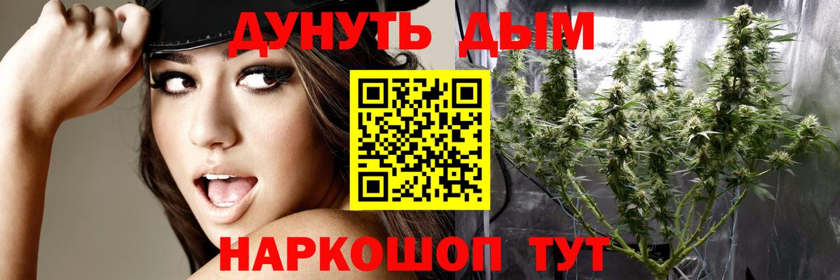 Тихвин  Бошки марихуана тримм  Шишки марихуана AK-47  Вход с VPN 