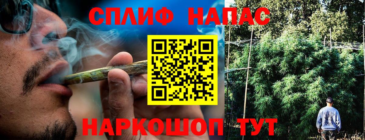 Каннабис гибрид Тихвин